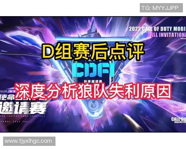 西安排球队在总决赛中的团队协作表现分析与点评