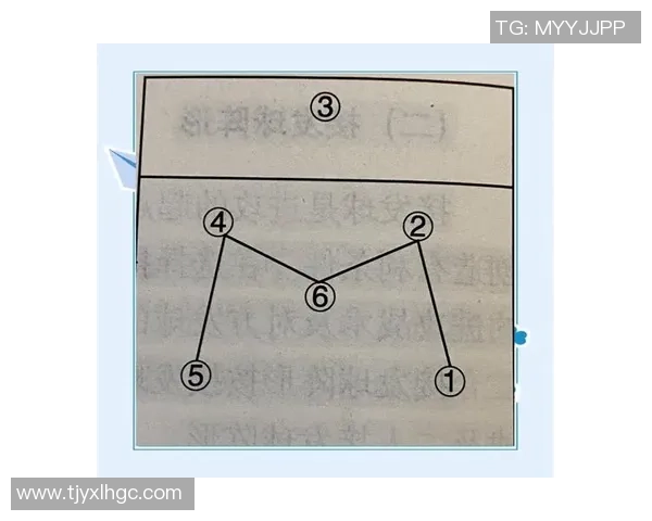 西安排球队的排球进攻战术解析与实战应用探讨
